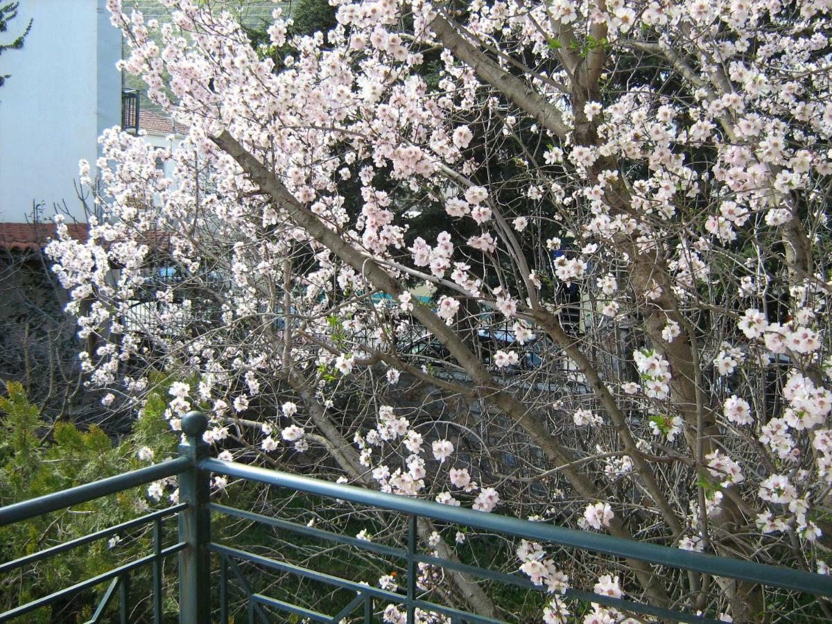 Filoxenia Apartment ลีไวดิออน ภายนอก รูปภาพ